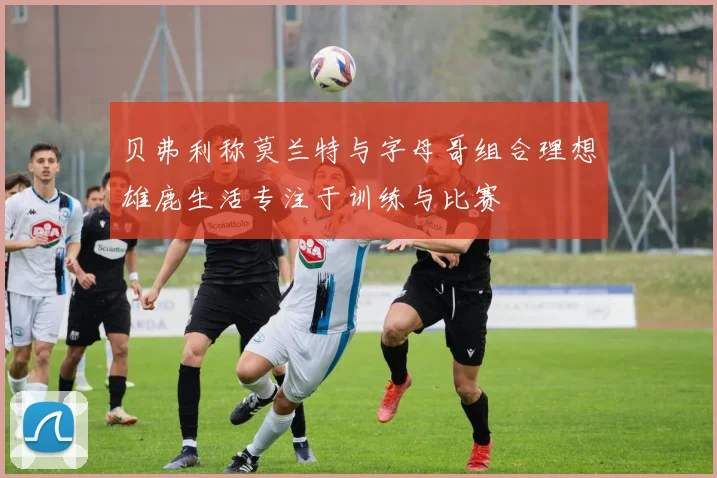 贝弗利称莫兰特与字母哥组合理想雄鹿生活专注于训练与比赛